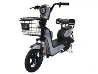 Električni bicikl dugi domet 80KM