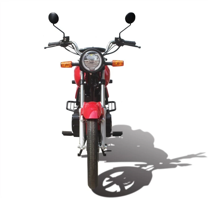 Electricity Street Motor For Adults 1500W