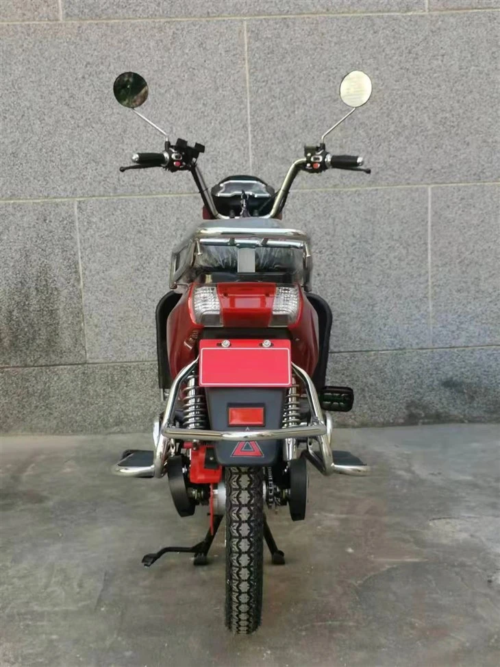 Classic Model Heavy Duty Cargo Electric-Bike