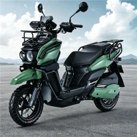 Električni motocikl 3000W litijumska baterija velike snage za odrasle off Road motocikl