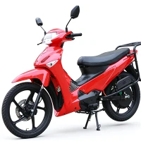 Zakrivljeni snop električnih motocikala Economic Factory Direktna prodaja