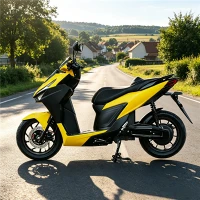Adult Sport E-Scooter Dual Suspension Disc Brake Ronghao
